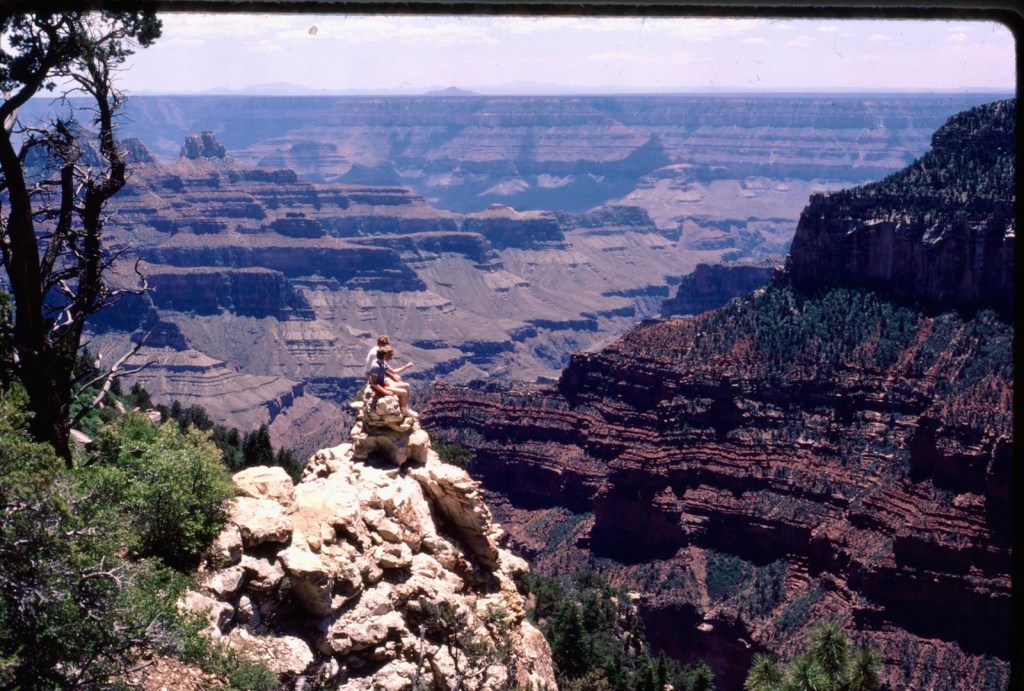 A person sitting on a rock outcrop overlooking the Grand Canyon with layered cliffs and trees in the foreground.